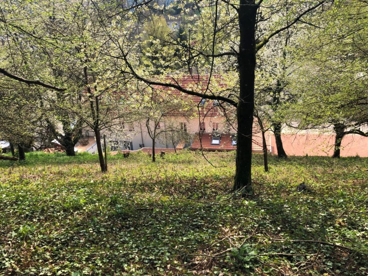 Apartament Trasse Belge Trassem Zewnętrze zdjęcie